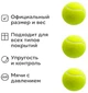 Набор мячей для большого тенниса Newt TLN Tennis Ball 3 шт (NE-LL-3) - изображение 2