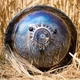 Глюкофон Puzz Drums 35 см Український Орнамент G Pygmy - зображення 4