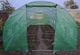 Теплица тунельная Greenhouse 18м2 (600х300х200) - изображение 2