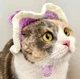 Шапка для кошек и собак "Bunny" Purple Size M - изображение 4
