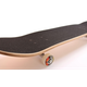 Скейтборд Canada Red 100% Original-i Multicolor 100 кг (DP-2008015934) - изображение 4
