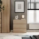 Комод Art in Head 3 Light 790x800x420 Дуб сонома (LT01130000000) - изображение 2