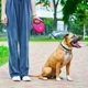 Поводок-рулетка для собак WAUDOG с контейнером для пакетов лента, L, до 40 кг, 5 м, розовый - изображение 2