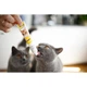 Паста для котів GimCat DUO PASTE Multi-vitamin 12 vitamins with cheese 12 вітамінів та сир, 50 г - зображення 4