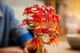 Конструктор Lego Botanicals Бонсай из японского красного клена 10348 - изображение 6
