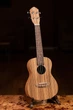 Укулеле Ortega Timber RFU11Z Concert Zebrawood (с чехлом) (R128673) - изображение 20