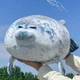 Мягкая плюшевая игрушка тюлень 80 см подушка морской котик серо-голубой (9115) - изображение 2