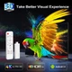 Смарт ТВ приставка H96 Max H313 Stick 2/16 Гб Android TV 14 Allwinner H313 - зображення 8