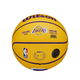 Баскетбольний Міні-М'яч Wilson NBA Player Icon Mini(WZ4007201XB3) 3 - изображение 2