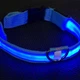 Світлодіодний Lesko Blue XS LED нашийник USB світиться для собак та котів - зображення 5