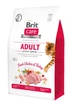 Brit Care Cat GF Adult Activity Support 0.4 кг сухий корм для котів, що живуть на вулиці - зображення 1