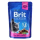 Brit Premium Cat Chicken & Turkey pouch 100 г вологий корм для кішок (курка та індичка) - зображення 1