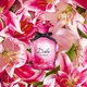 Тестер Туалетна вода для жінок Dolce & Gabbana Dolce Lily 75 мл - зображення 3