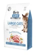 Сухий корм для котів великих порід Brit Care Cat GF Large cats Power & Vitality 400 г (курка і качка) - зображення 1