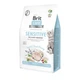 Сухий корм для котів з харчовою непереносимістю Brit Care Cat GF Insect 400 г (комахи та риба) - зображення 2