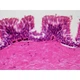 Набір мікропрепаратів Bresser Histology 30 шт (5985000) (931505) - зображення 4