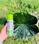 Поліроль (лак) для рослин Perfect Plant 200мл аерозоль - зображення 4