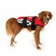 Kamizelka Ezydog Life jacket M 38-50 cm 18-27 kg czerwona (5708214984059) - obraz 2