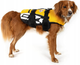 Kamizelka Ezydog Life jacket XS 7 - 11 kg żółta (5708214988538) - obraz 2