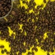 Кава в зернах купаж 50% на 50% "Топ баланс" свіжого обсмаження 1 кг - зображення 1