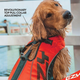 Kamizelka Ezydog Life Jacket X2 Boost S 9 - 20 kg czerwona (9346036005307) - obraz 5