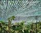 Сетка Клевер для затенения 60% 3м х 10м защитная теневая - изображение 14