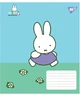 Набор тетрадей ученических YES Miffy Spring A5 12 листов в косую линию x 25 шт (4823092292247) - изображение 5