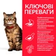 Сухой корм для котов Hill's Science Plan Sensitive Stomach & Skin Chicken с курицей 7 кг 604069 - изображение 2