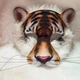 Маска тигра для квадробики Tiger "Everything for Quadrobers" - изображение 1