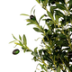 Sztuczna roślina Homla Tropical Zone Drzewko oliwne 180 cm (5904183877938) - obraz 2