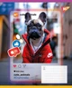 Набор тетрадей ученических YES Cute animals A5 18 листов в линию x 25 шт (4823092293268) - изображение 5