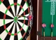 Дартс с кабинетом мишень 45см сизаль Winmax Kings Head 6 дротиков - изображение 3