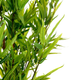 Sztuczna roślina Homla Tropical Zone Bambus 180 cm (5904183877921) - obraz 2