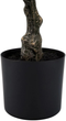Sztuczna roślina Homla Tropical Zone Surmia 65 cm (5906496740572) - obraz 4