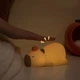 Светильник Аккумуляторный Capybara Sleep Ночник Беспроводной Силиконовый Капибара (00985) - изображение 5