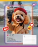 Набір зошитів учнівських Yes Cute animals А5 24 аркуші Лінія 20 шт (767730) - зображення 6