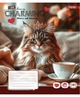 Набор тетрадей ученических 1 Вересня Charming А5 24 листа Линия 20 шт (768188) - изображение 4