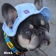 Панама для собак Hat-Dog вельвет блакитна з регульованою затяжкою 2/S - изображение 3