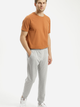 Спортивні штани чоловічі Cross Jeans 49072-004 L Світло-сірі (8697319730548) - зображення 3
