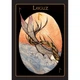 Карты Оракул Рунический – Rune Oracle. AGM Urania - изображение 3