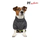 Дождевик Pet Fashion «Rain» для собак, размер M2, сірий - зображення 4