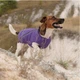 Жилет Pet Fashion «E.Vest» для собак, размер XS2, фиолетовый - изображение 3