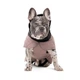 Попона Pet Fashion Max для собак S - зображення 3