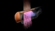 Выпрямитель для волос Dyson HT01 Airstrait Ceramic Pink/ Rose Gold (598960-01) - изображение 6