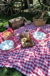 Скатерть с салфетками Istanbul Piknik Set 140 х 180 см Happy Days Kirmizi - изображение 6