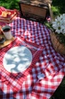 Скатерть с салфетками Istanbul Piknik Set 140 х 180 см Happy Days Kirmizi - изображение 7