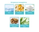 Наклейки-пластыри для ухода за вросшими ногтями Nail Patches, 16 шт в упаковке U9360 - изображение 4
