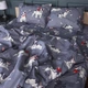 Комплект постельного белья MirSon двуспальный 175x210 см 17-0663 Cute Pug бязь (2200010011340) - изображение 1