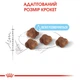 Сухий корм для вагітних-годуючих котів та кошенят Royal Canin Mother & Babycat 400 г (3182550707305) (2544004)A - изображение 3