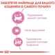 Сухий корм для вагітних-годуючих котів та кошенят Royal Canin Mother & Babycat 400 г (3182550707305) (2544004)A - изображение 4